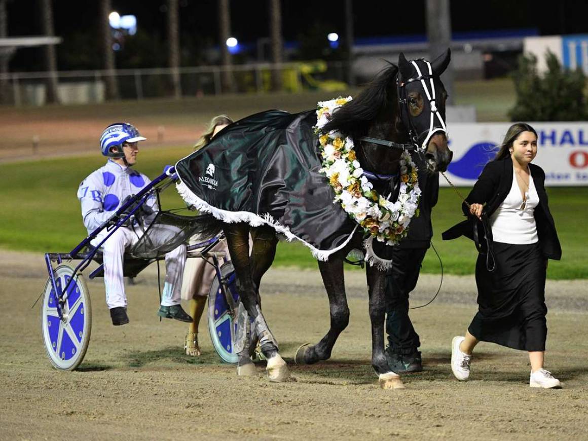 Breckon-Bred Quinella in the Breckon Farms Northern Trotting Derby