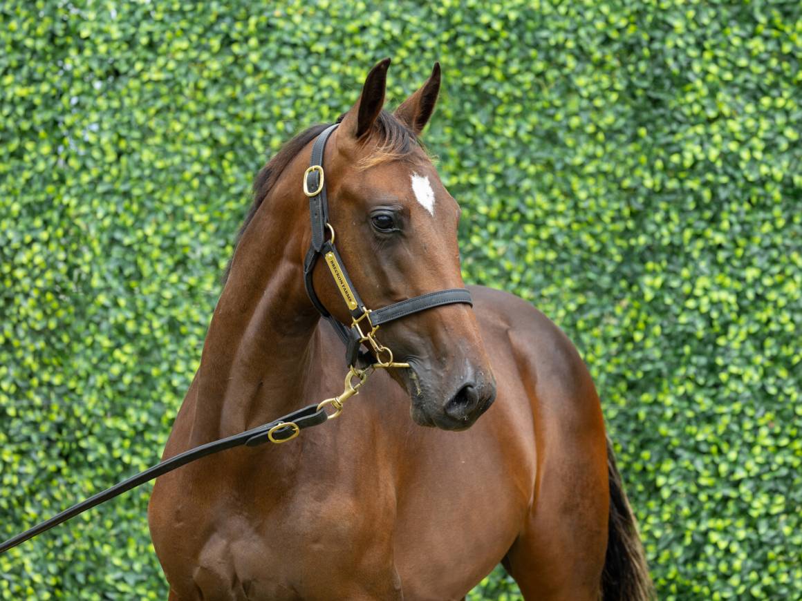 “Rubira’s got them beat again!”