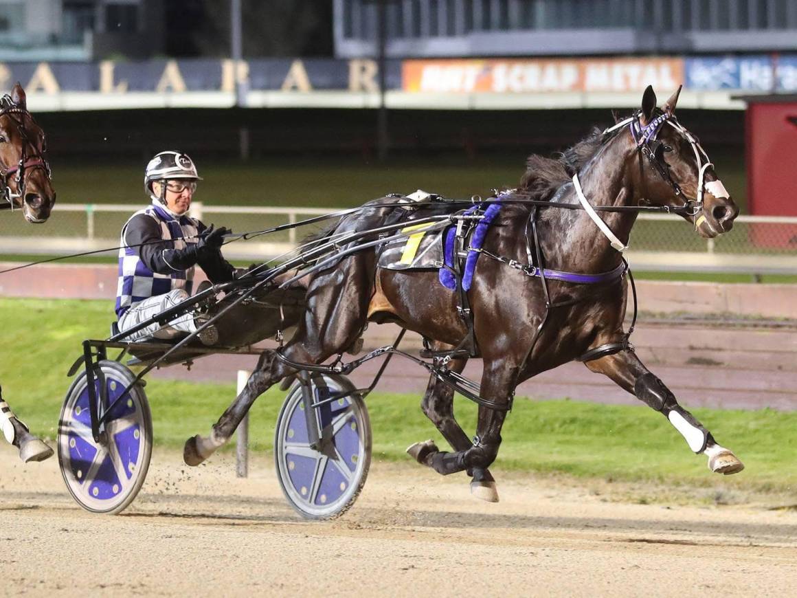 June Race Track Performances