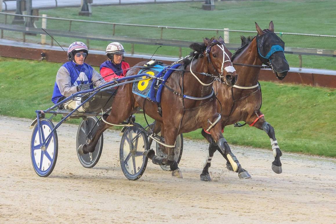 October Race Track Performances