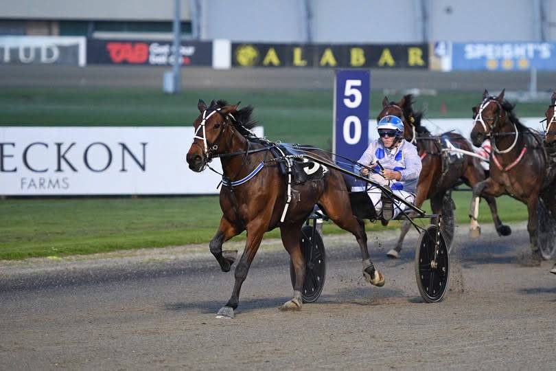 November Race Track Performances