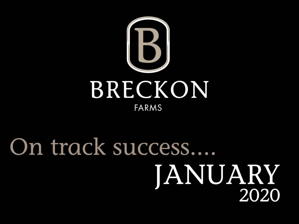 On Track Success - January