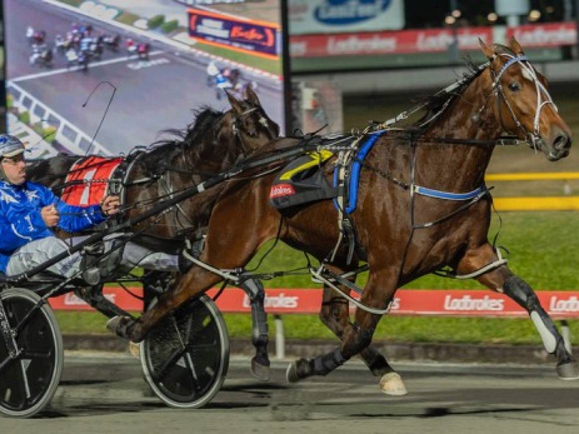 August Race Track Performances