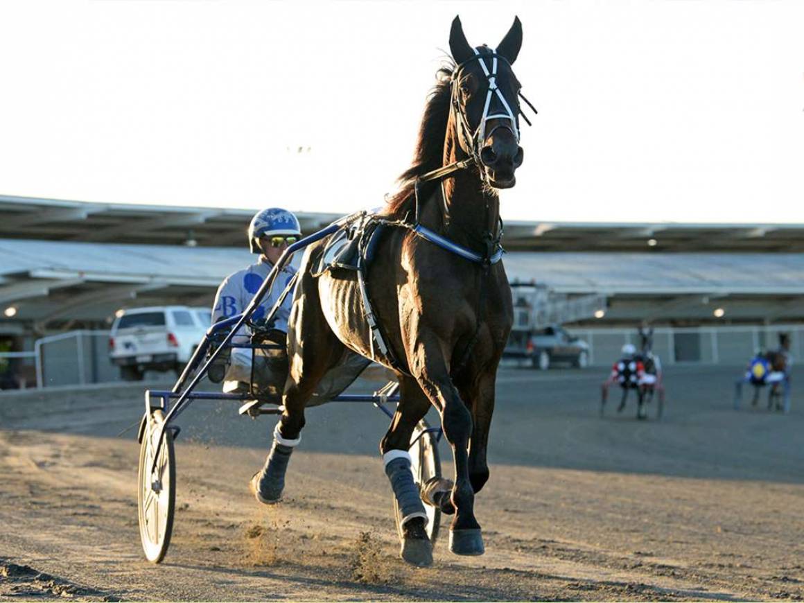 Meant To Be Makes His Statement