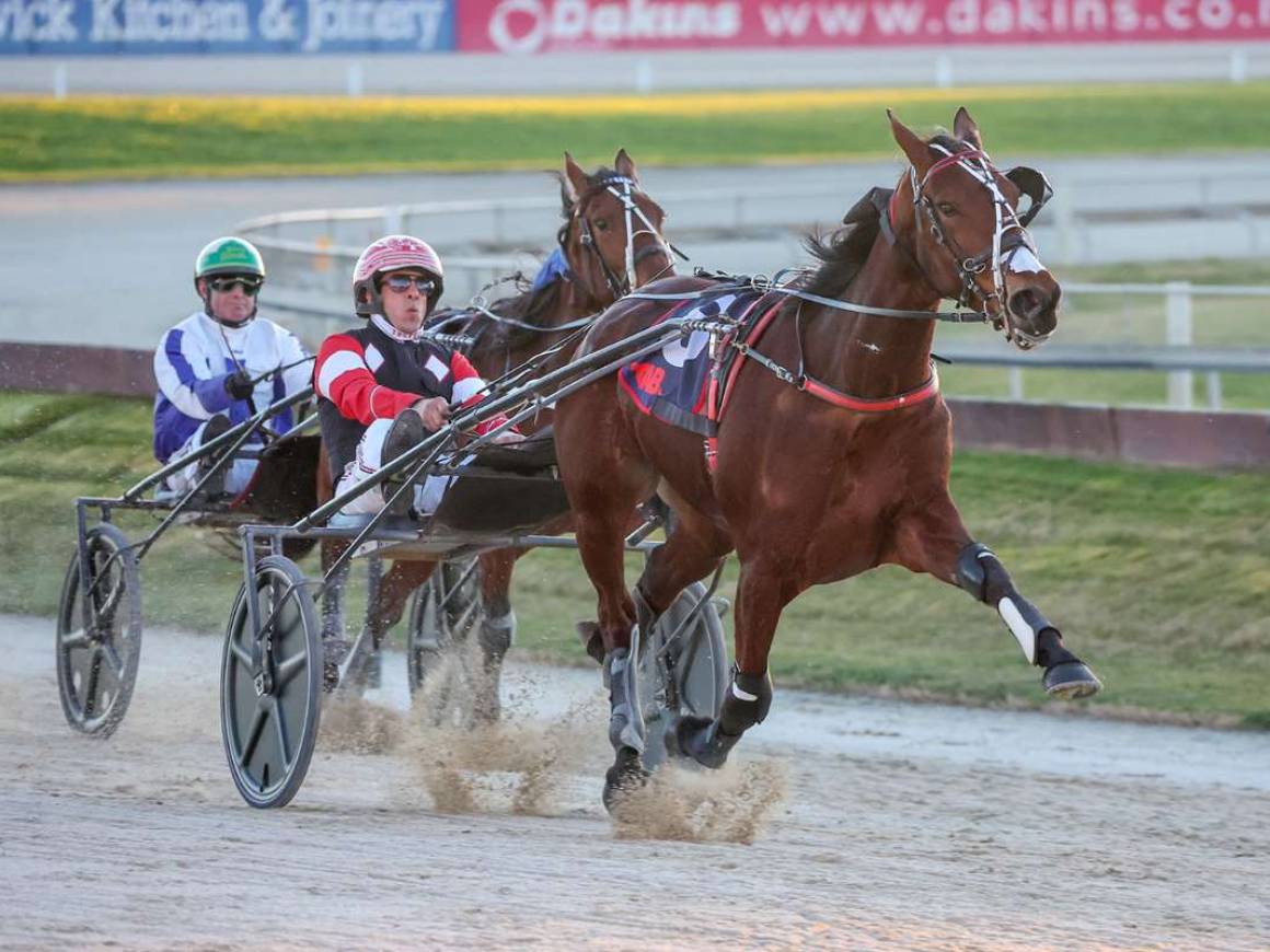 Addington trotting treble