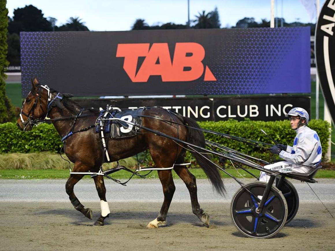 2YO Breckon Bred Winners Aplenty