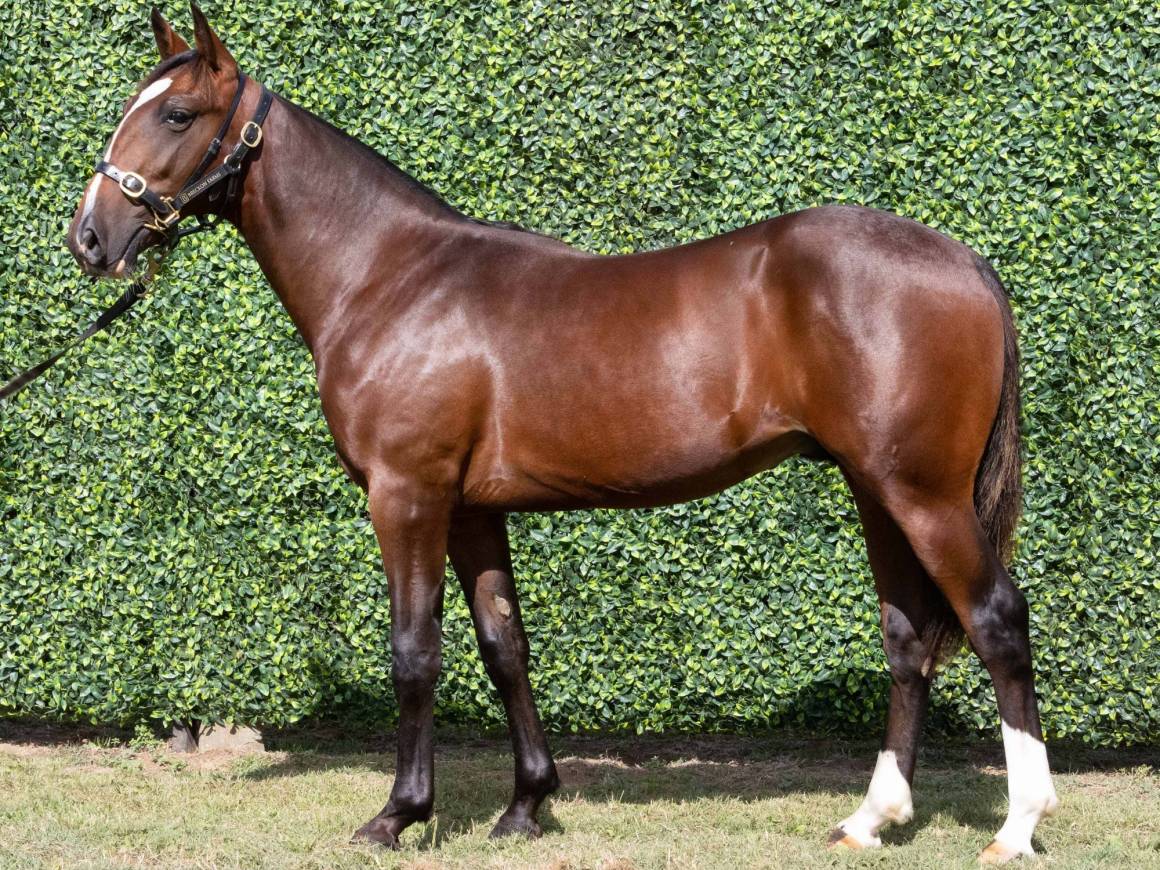Imperial win at Hobart