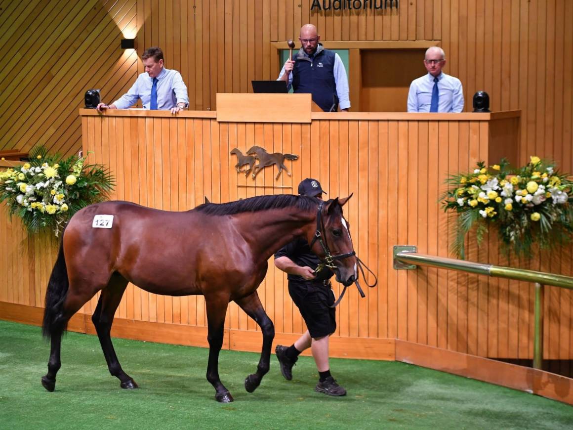 Wrapping Up Karaka 2026