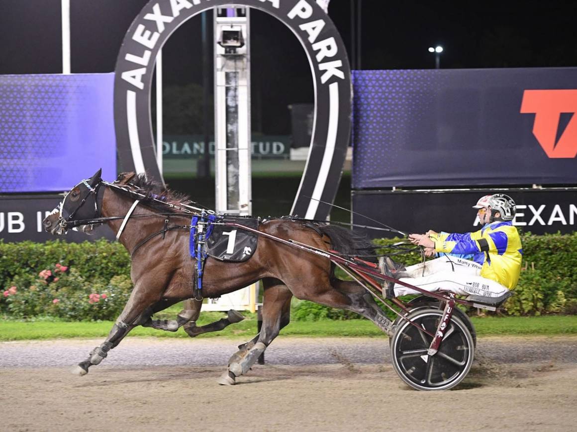 March Race Track Performances