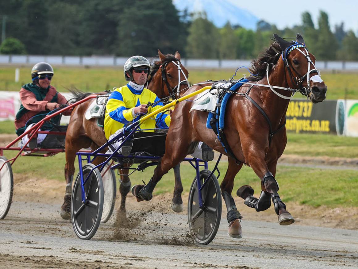 November Race Track Performances