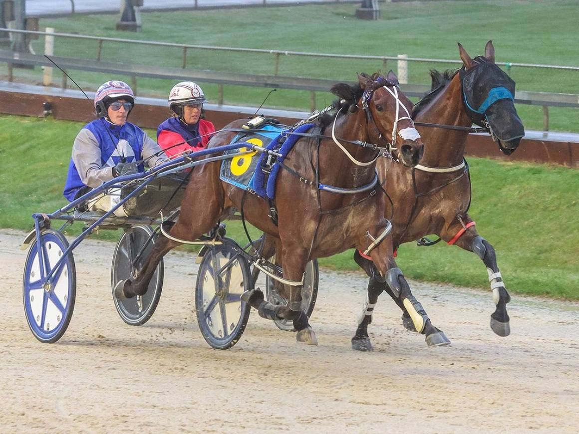 October Race Track Performances