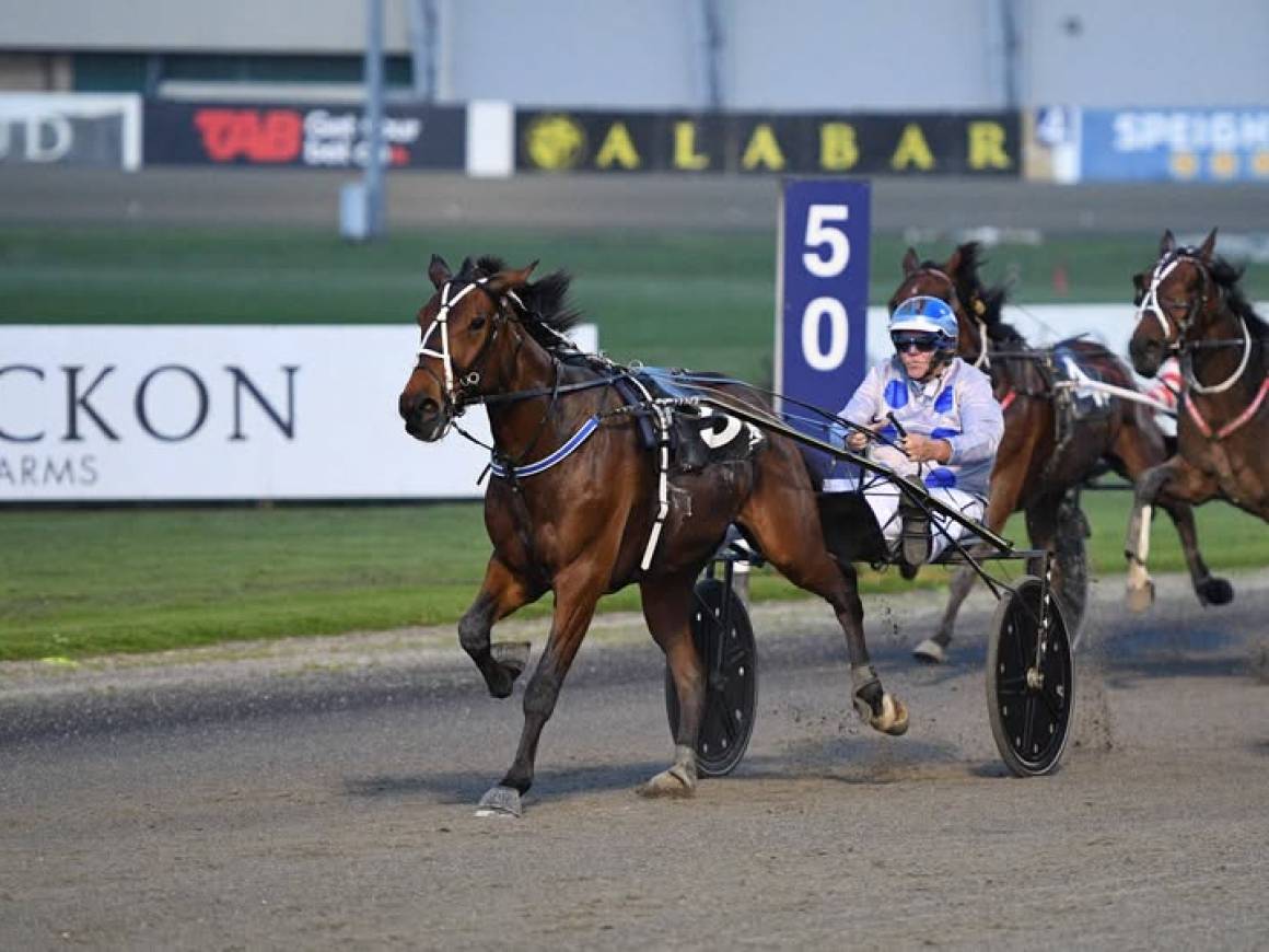 November Race Track Performances